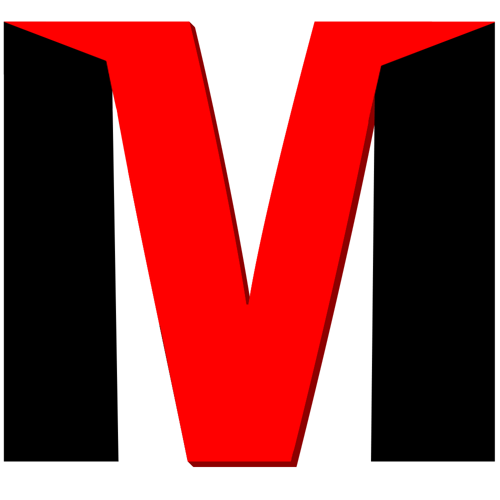 VidMentor Logo